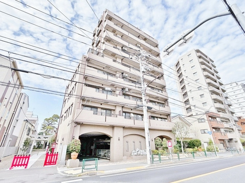 ナイスアーバン東小岩（10階）／仲介手数料無料／内装新規フルリノベーション