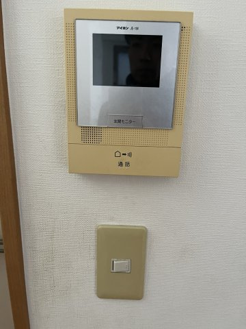 ハイム・アートレスのセキュリティ