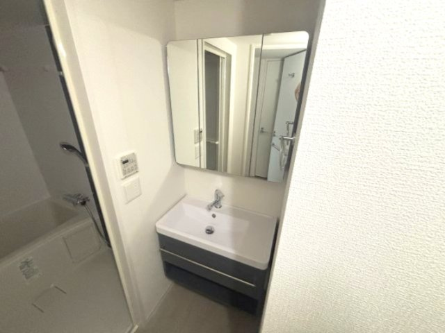 セレニテ神戸駅前アリエの洗面所