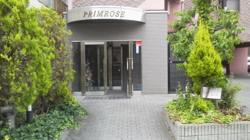 ＰＲＩＭＲＯＳＥ（プリムローズ）のその他