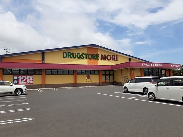 メゾン・ローズマリーⅡの周辺|ドラッグストアモリ鹿屋川西店まで600m