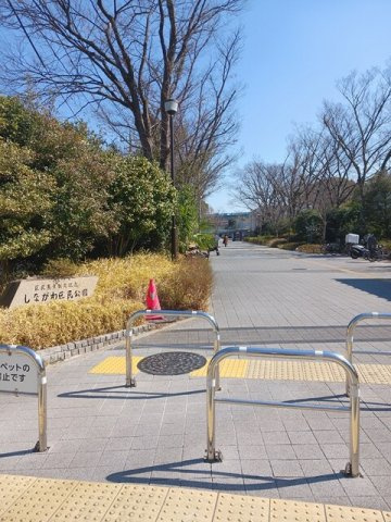 アーバングレースの周辺|しながわ区民公園まで169m