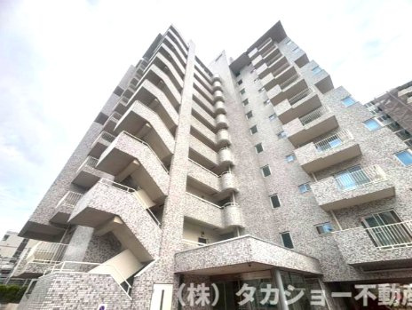 稲毛カトレア