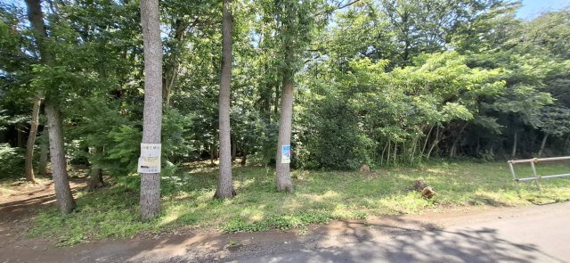 所沢市　林　土地のその他