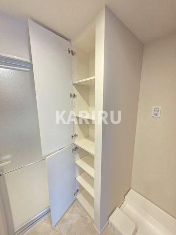 Brillia Tower堂島の収納