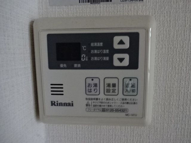 プラティーク両国のその他