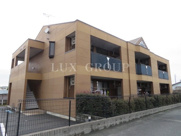 ネオ　シュトラーゼの画像