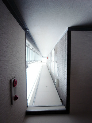 【その他】サンローヤル
