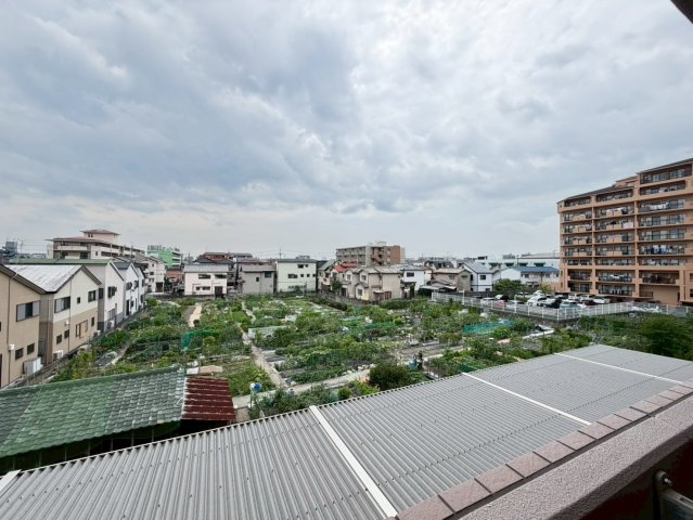 セリーゼウエストの展望