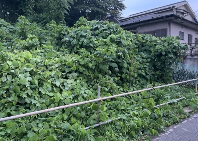 【外観】 | 家を建てる場合、方位は要チェックです。現実的に日当たりのよい家ならばリビングは南側、建築基準法でも北側に当たる家への配慮は求められています。土地を見学に行く際は、方位磁針を持って行くようにしましょう。
