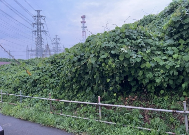 【外観】 | 販売されている全ての土地が、宅地用の土地であるとは限りません。都市計画法に基づき、基本的に住宅を建てることができるのは土地計画区であることに加え、市街化区域として定められている地域のみとなっています。