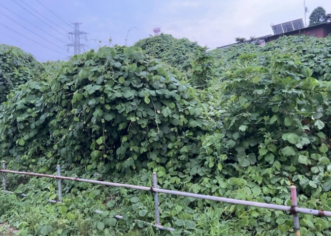 【前面道路含む現地写真】 | ハザードマップは自然災害による被害を予測し、その被害範囲を地図上で表したものです。近年特に災害が多くなっていますので、事前に調査すると安心できます。ハザードマップは国交省のホームページをご覧ください。
