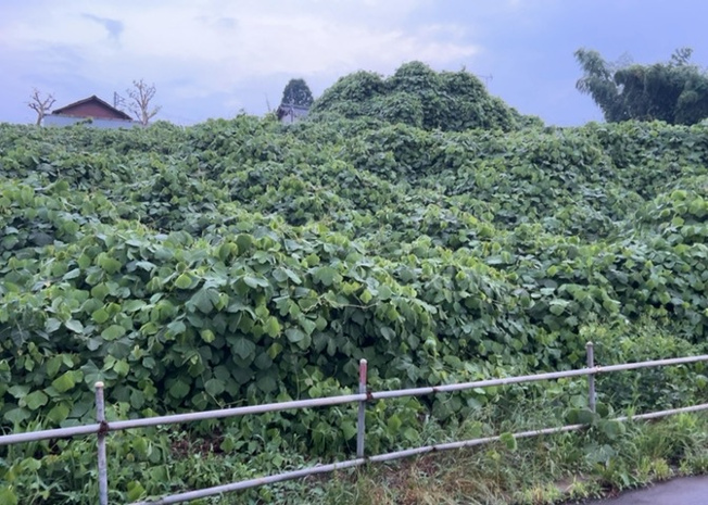 【外観】 | 現地に行くなら、物件の周囲の地形がどうなっているかを見ることも大切です。周辺より低くなっている土地では、大雨などで水が集まりやすいため、地盤が弱くなっているということも考えられるため、注意が必要です。