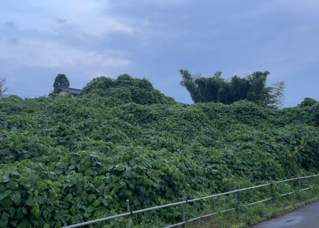 【外観】 | 隣家の土地はどうなっているのか、生活利便施設が近くにあるのか、学校まで近いかなど、お客様のライフスタイルにあわせたイメージが重要です。また、近くにあると困る施設が近くにないかも確認するといいでしょう。