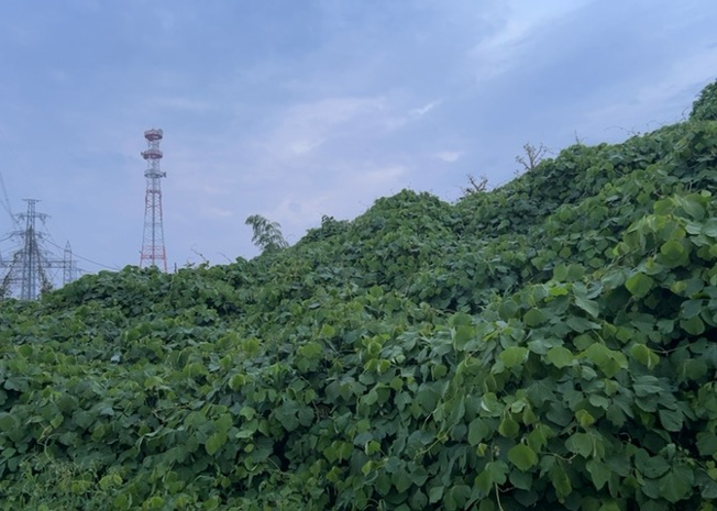 【外観】 | 家を建てる前提で土地を探している場合、地盤の丈夫さは譲れない条件の一つです。地盤が脆弱だと追加工事が必要となります。また、過去に地盤沈下や液状化現象を起こした土地は、できるだけ避けた方がいいでしょう。