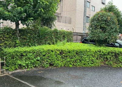 【中庭】 | コスモ八王子並木町 | 中庭（パティオ）とは、一つの建築物の内部に設けられた、壁などで囲われている庭のことを指します。コの字型、ロの字型が主流ですが、L字型の中庭もあります。最近では、インテリア性の高さからも人気があります。