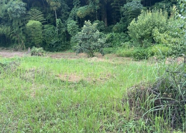 【外観】 | 土地購入を検討されている場合、境界杭がない状態で購入してしまうと境界確定測量をする必要があり、費用がかかります。購入の前に、売主、隣土地所有者立ち合いのもと境界を確定し境界杭を設置するのがベストです。