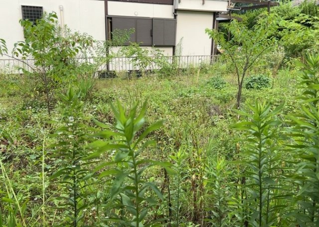 【外観】 | 土地探しをしていると都市計画区域という言葉を目にすると思います。法律によって、都道府県知事や国土交通大臣が指定するエリアのことを指しており、都市計画区域は市街化区域と市街化調整区域に分けられています。