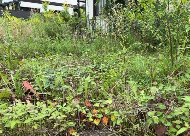 【外観】 | 隣家の土地はどうなっているのか、生活利便施設が近くにあるのか、学校まで近いかなど、お客様のライフスタイルにあわせたイメージが重要です。また、近くにあると困る施設が近くにないかも確認するといいでしょう。
