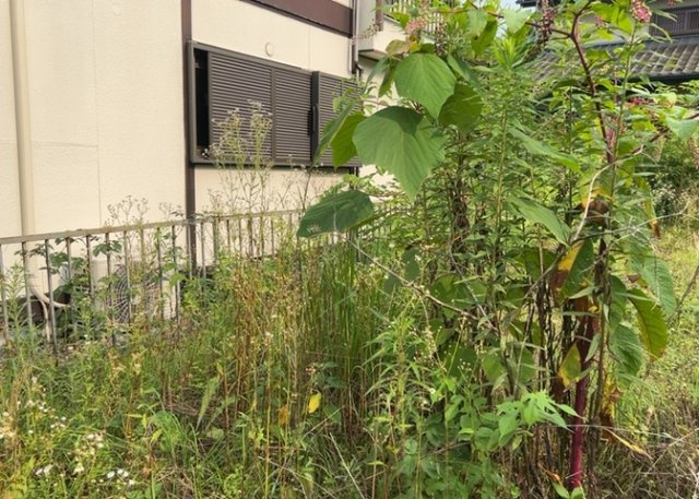 【外観】 | 家を建てる前提で土地を探している場合、地盤の丈夫さは譲れない条件の一つです。地盤が脆弱だと追加工事が必要となります。また、過去に地盤沈下や液状化現象を起こした土地は、できるだけ避けた方がいいでしょう。