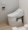 GRASPLUS上中里のトイレ