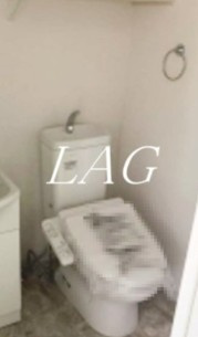 【トイレ】 | スカイヒルズ春日部 | トイレです。