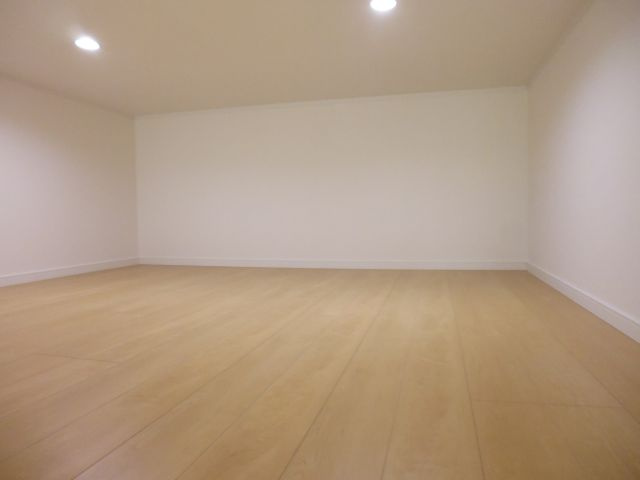 レグルス新明のその他