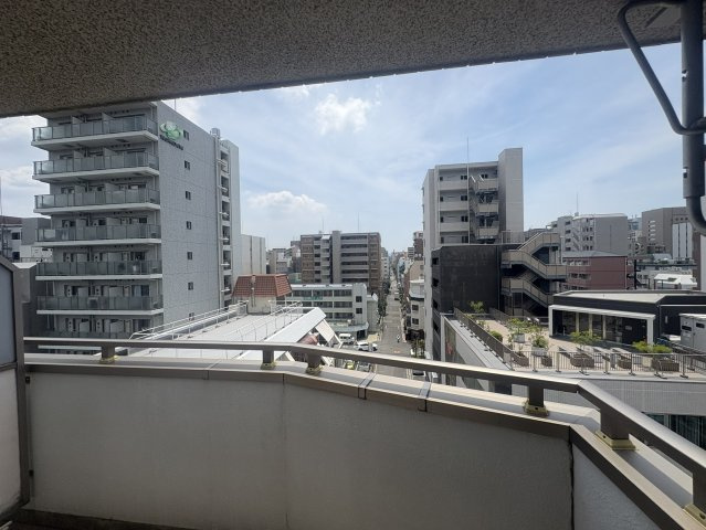 ビートルズフォレストの展望