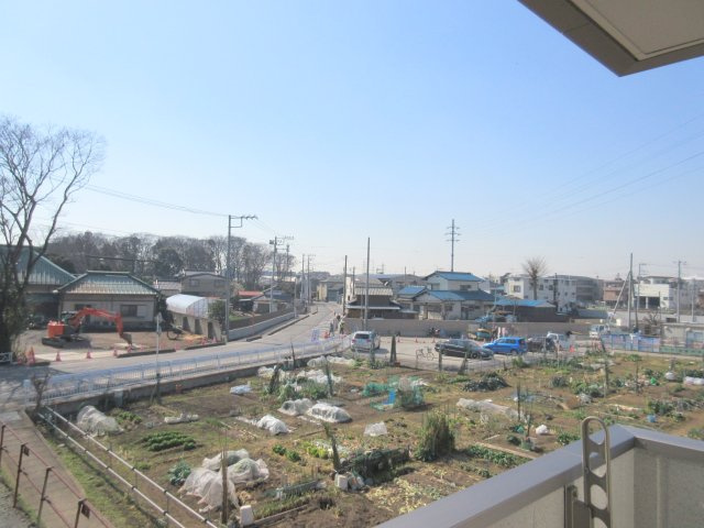 ハイネスの展望