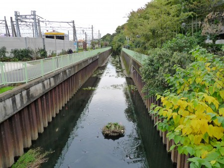 ハーモニーテラス久我山の周辺