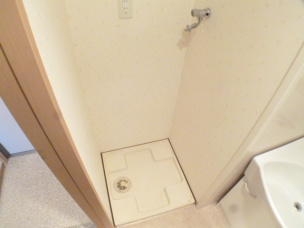 エスポワール御影の洗面所