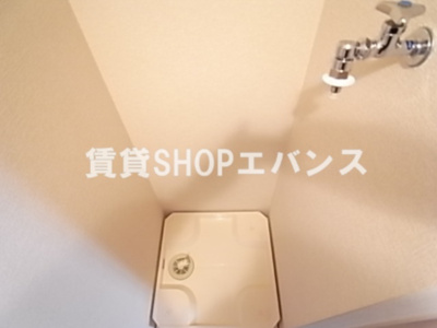  | オーキッド