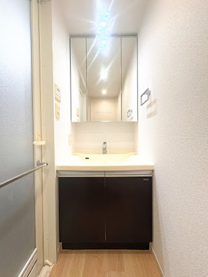 【独立洗面台】 | エル・クラウディア青葉　ペット飼育可能/江田駅まで徒歩2分/便利な宅配ボックス付き/3駅徒歩利用可能 | ◆ご家族の1日が始まり、1日が終わりを締めくくる洗面空間。洗濯機を配置しても十分なスペースを確保した設計となっております。