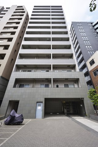 SYNEX HON-KOMAGOME