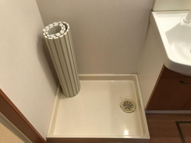 楓のその他|その他
