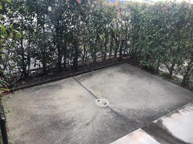 楓のその他|庭