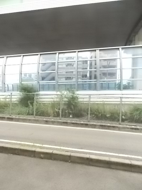 パルテンツァの展望