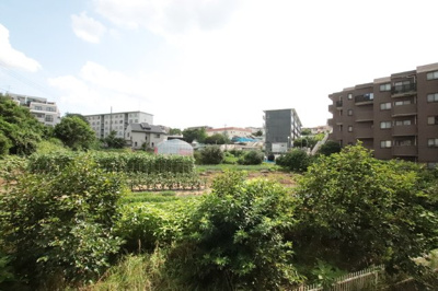 バルコニーからの景色です