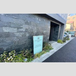 プレセダンヒルズ目黒柿の木坂のエントランス|エントランス