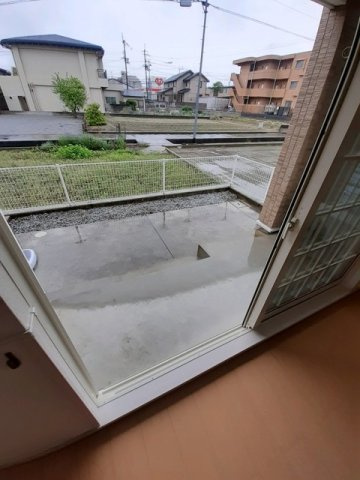 プラタナスの庭