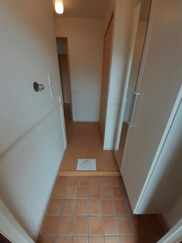 プラタナスの玄関