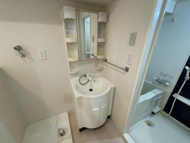 ラフィーヌすみだ の洗面所