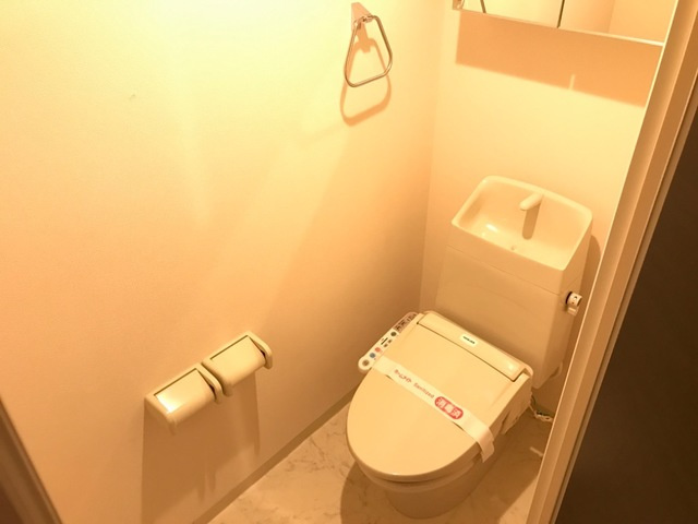 川崎市多摩区西生田３丁目の賃貸マンションのトイレ
