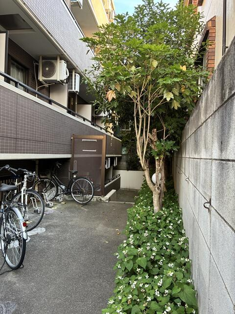 クレスト下北沢のバルコニー| 