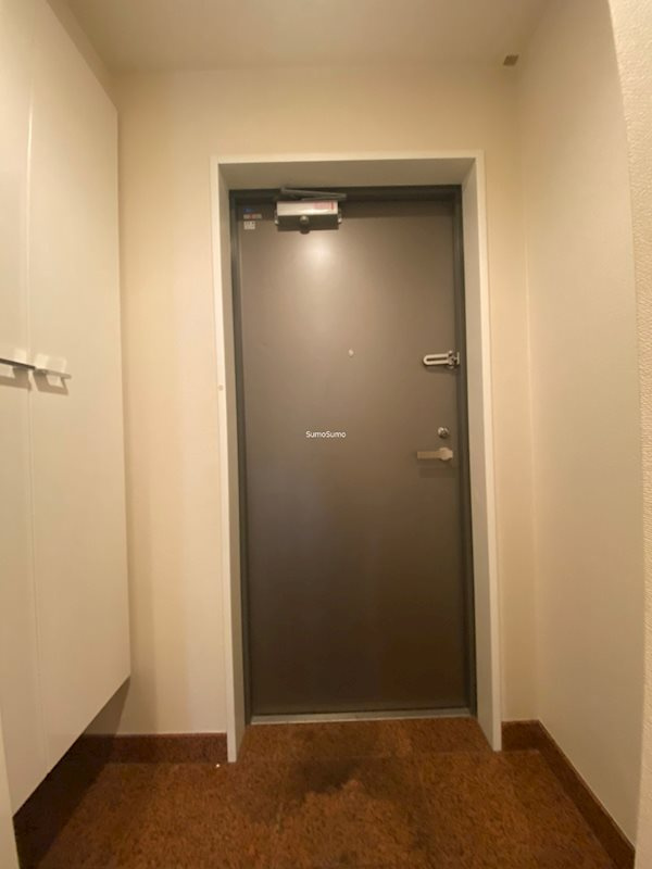 エスライズ四ツ橋の玄関