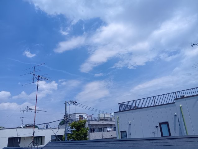 【展望】