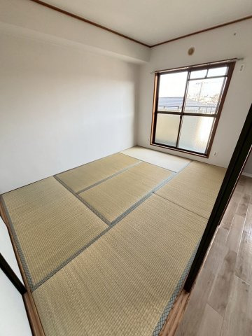 ソシア小林のその他