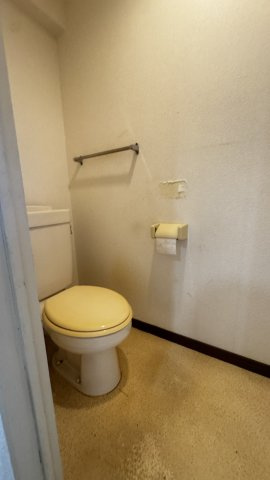 Green View姪浜のトイレ