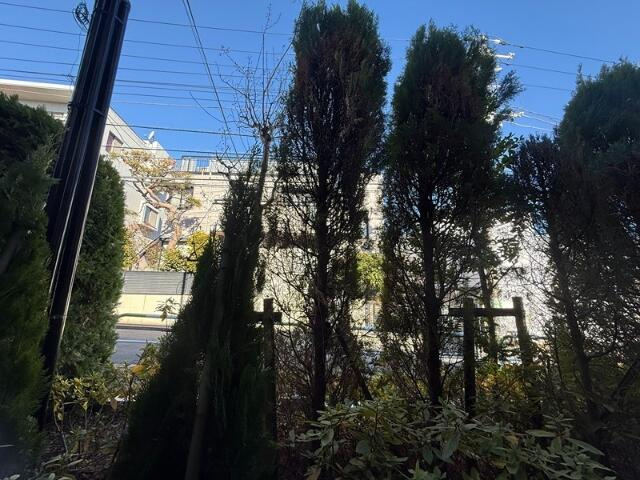 エスティメゾン代沢の展望