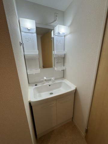 メゾン ド カルムⅢの洗面所